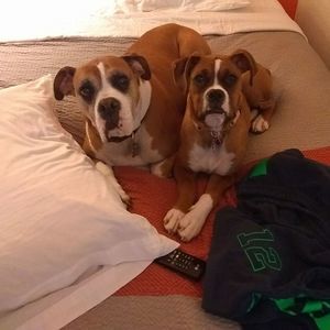 Meet your Posher, Katie